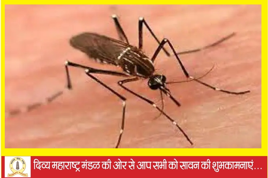  बिलासपुर में मलेरिया से युवक की मौत....  भिलाई में डेंगू का कहर जारी...