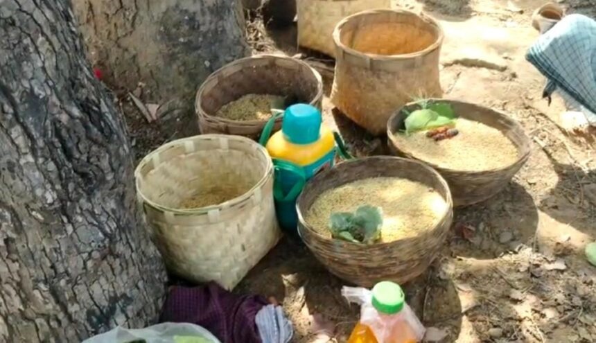 जानिए पूर्वजों के समय से चली आ रही इस परंपरा के बारे में, अच्छी फसल के लिए अनोखी परंपरा 