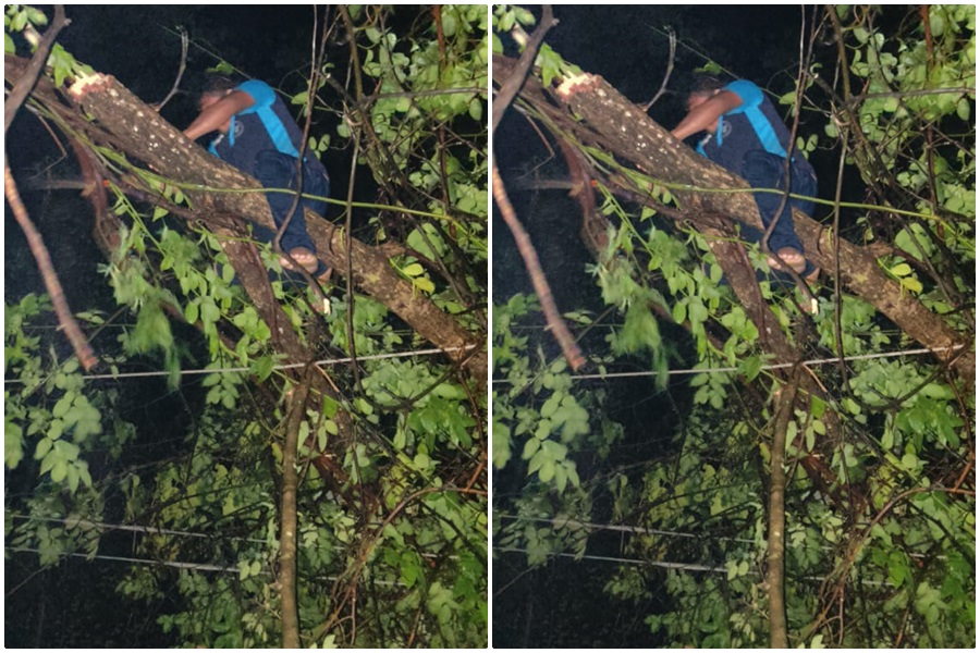 आंधी तूफान ने देवभोग की बिजली व्यवस्था....  आधी रात तक चला सुधार कार्य... विद्यु आपूर्ति बहाल