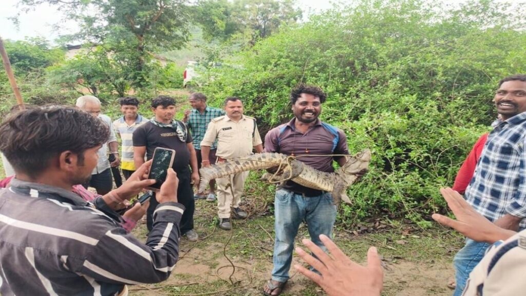 छत्तीसगढ़ के इस स्कूल में पहुंचा मगरमच्छ का बच्चा, छात्रों में मची हड़कंप