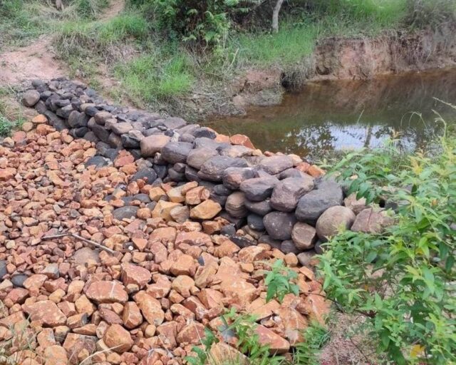 कांकेर की मासुलपानी पंचायत को मिलेगा राष्ट्रीय जल पुरस्कार : राष्ट्रपति द्रौपदी मुर्मु करेंगी सम्मानित