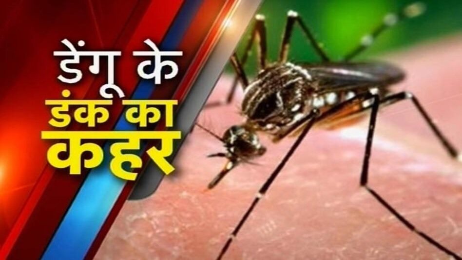 बस्तर में एक बार फिर डेंगू के 10 मरीजों की पुष्टि.... प्रशासन में मचा हड़कंप