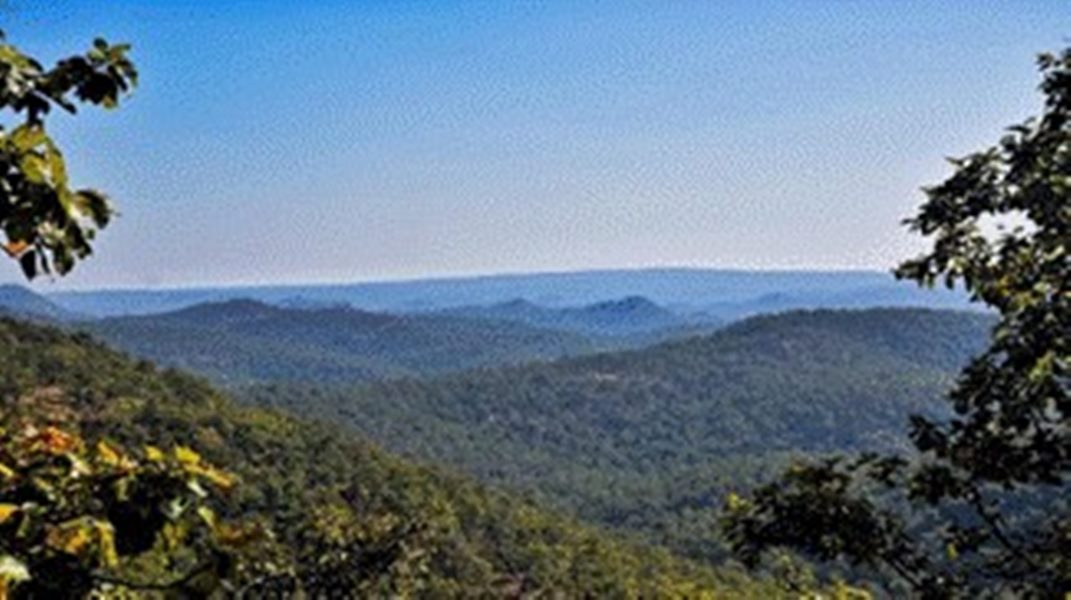 गुरू घासीदास-तमोर पिंगला बना देश का 56वां टाइगर रिजर्व&hellip;.. मुख्यमंत्री साय ने प्रधानमंत्री के प्रति जताया आभार