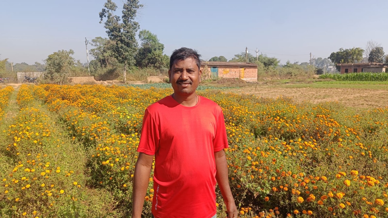 पारंपरिक खेती छोड़ परिमल ने शुरू की गेंदे के फूलों की खेती : बंपर उत्पादन से दुगुनी हुई कमाई
