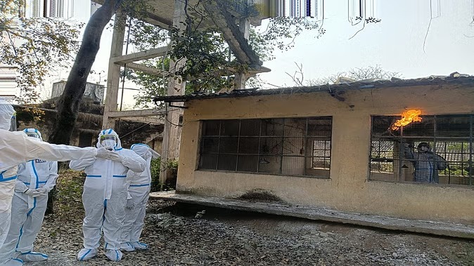 बर्ड फ्लू संक्रमणः दिल्ली और एम्स रायपुर से डाक्टरों की टीम ने किया रायगढ़ का निरीक्षण