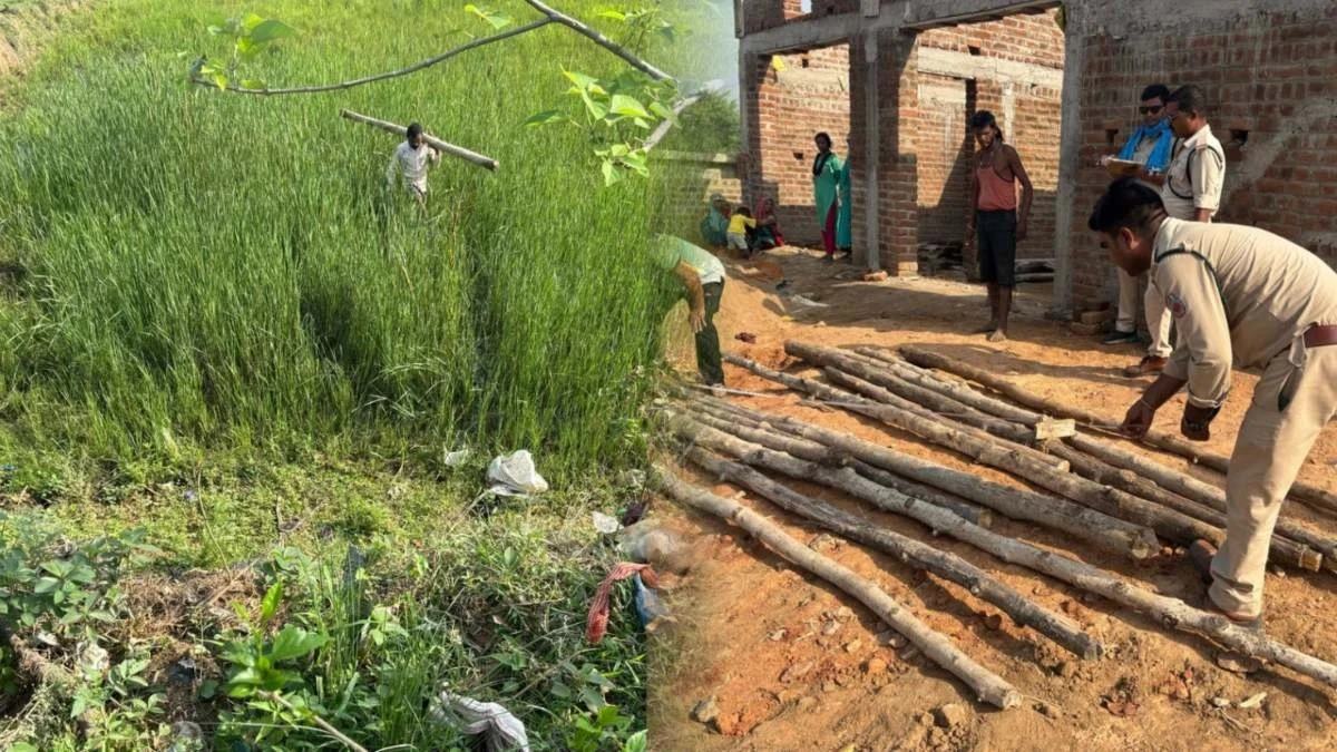 वन विभाग की बड़ी कार्रवाई, अवैध सागौन की 16 बल्लियां जब्त, आरोपी पर केस दर्ज