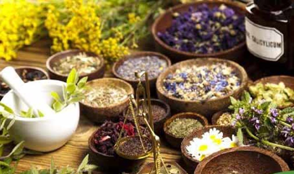 'वोकल फॉर लोकल&rsquo; को साकार करती छत्तीसगढ़ की आयुर्वेदिक प्रसंस्करण परियोजना