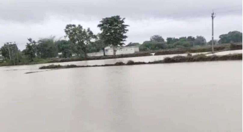 छत्तीसगढ़ में बारिश... कोरबा-मुंगेली समेत 5 जिलों में भारी बारिश का अलर्ट, बिलासपुर में उफान पर अरपा