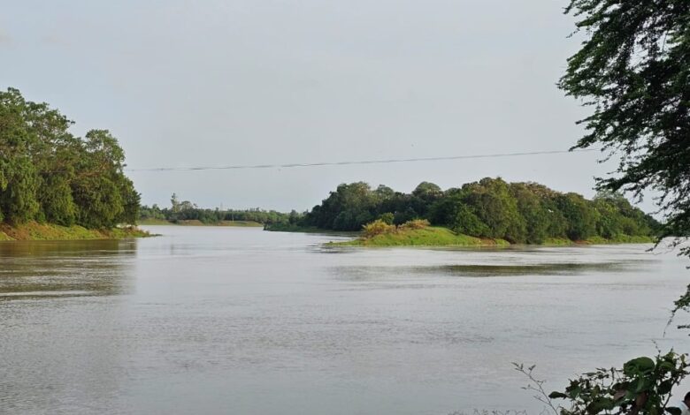 लगातार बारिश से शिवनाथ नदी उफान पर, मदकू द्वीप के एनीकेट जलमग्न, प्रशासन सतर्क&hellip;.