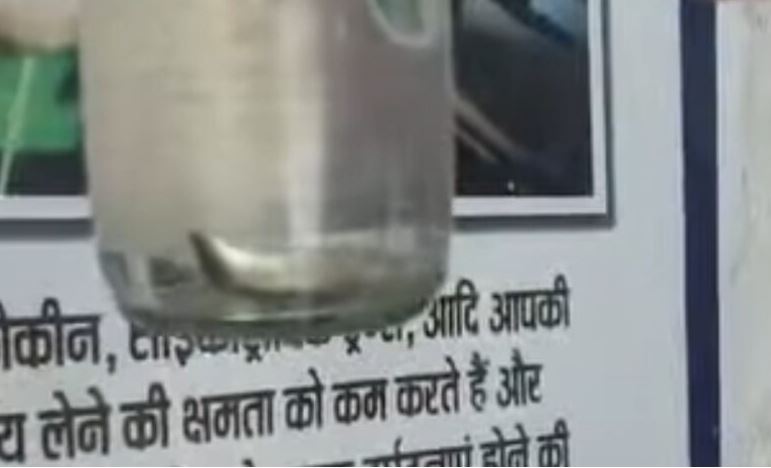 देशी शराब की बोतल में निकला जिंदा कीड़ा, मदिराप्रेमियों में हड़कंप