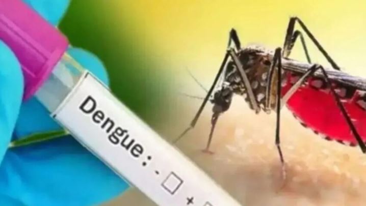 देश के इस जिले में नहीं मिला एक भी डेंगू मरीज, स्वास्थ्य विभाग और नगर निगम की बड़ी सफलता