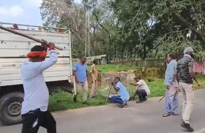 गुरु घासीदास पार्क में अब तक 35 बंदर किए गए शिफ्ट