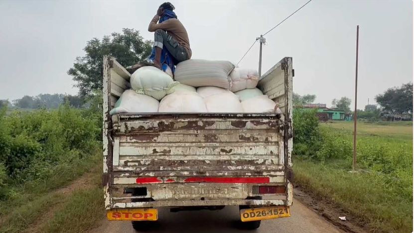 धान खरीदी शुरू होने से पहले बिचौलिए सक्रिय, ओडिशा से धान लाकर सीमावर्ती जिलों में कर रहे अवैध भंडारण&hellip;