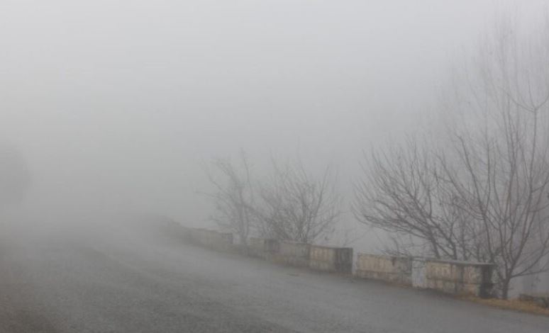 बिलासपुर में कड़ाके की ठंड, तापमान गिरा, ठंडी हवाओं और कोहरे से शहर ठिठुरा.