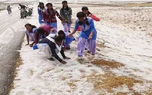 मैनपाट में न्यूनतम-तापमान 2 डिग्री पहुंचा, कोहरे के चलते वाहनों की रफ्तार पर ब्रेक