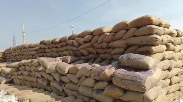 चूहा खा गए 7 करोड़ का धान, अब घोटाले में प्रशासन का बड़ा एक्शन, DMO निलंबित