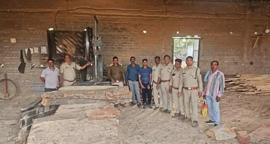 कीमती प्रजाति की लकड़ी जब्त, वन विभाग ने अवैध भंडारण पर लिया एक्शन