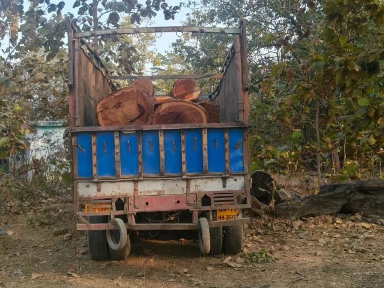 वन विभाग ने 3 लाख कीमत की लकड़ी और ट्रक किया जब्त, वाहन चालक फरार