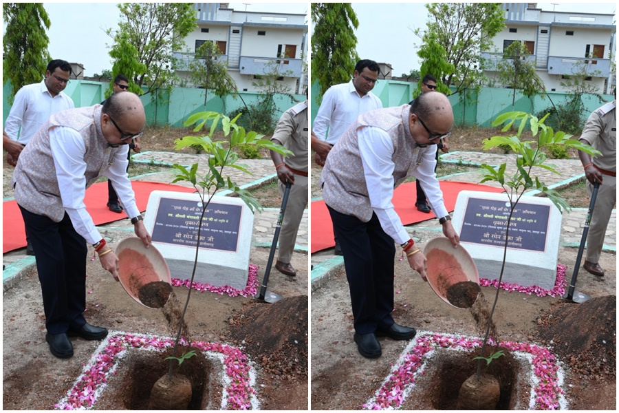 राज्यपाल रमेन डेका ने जशपुर के मातृत्व वन में किया सीता अशोक के पौधे का रोपण