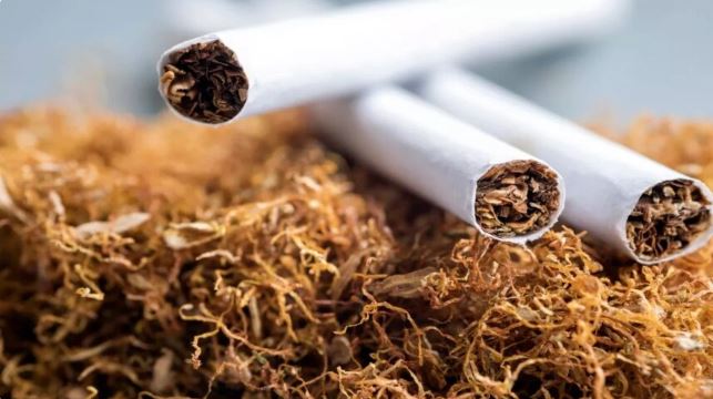 तंबाकू का सेवन बंद करने से करोड़ों भारतीय हो जाएंगे गरीबी से बाहर, रिसर्च में बड़ा खुलासा