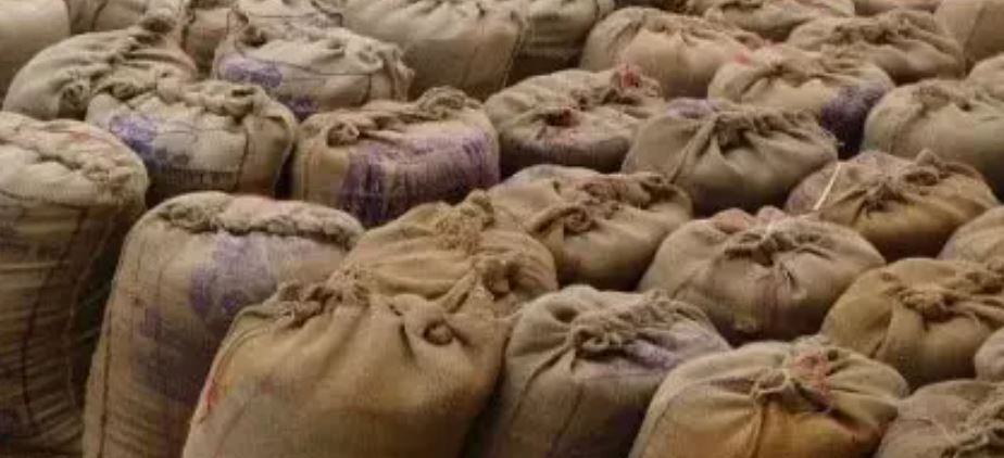 धान गायब कर 52 लाख का भ्रष्&zwj;टाचार, जांच के निर्देश