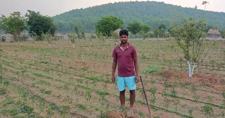 जशपुर के सेब से बदल रही किसानों की तकदीर
