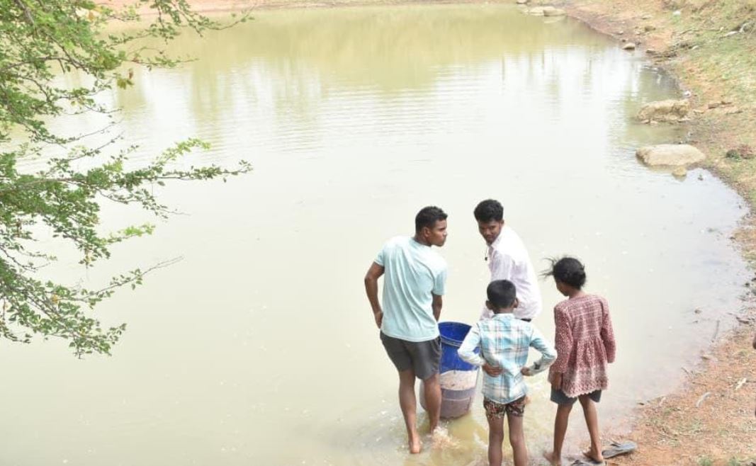 जल संरक्षण से बदला जीवन: धमतरी के भोथापारा में आजीविका डबरी बनी आर्थिक स्वावलंबन का नया आधार