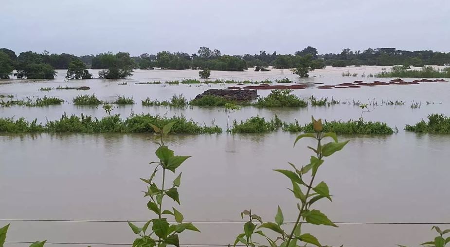 बस्तर में बारिश थमी, लेकिन नदियां उफान पर; प्रशासन अलर्ट