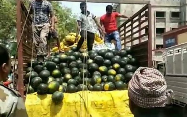  तरबूज के नीचे छुपा रखा था दो करोड़ रुपये का गांजा, पन्ना मध्यप्रदेश ले जाने की थी तैयारी