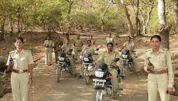  वन विभाग ने जारी किया भर्ती के लिए विज्ञापन... इन पदों पर होगी भर्ती, इस तरह करें आवेदन 