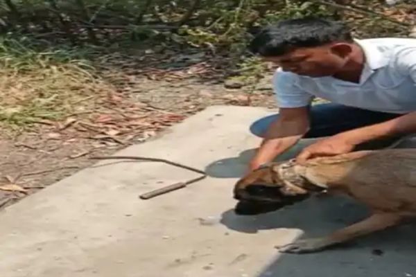 चचेरी बहन के पास जाकर रूक गया पुलिस डॉग... हिरासत में लेकर पुलिस कर रही पूछताछ... बड़े खुलासे के आसार