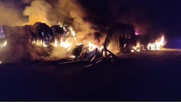 पिकअप की ओवरटेक की कोशिश में... दो ट्रक आपस में भिड़े... तीनों में लगी गई आग... और फिर 