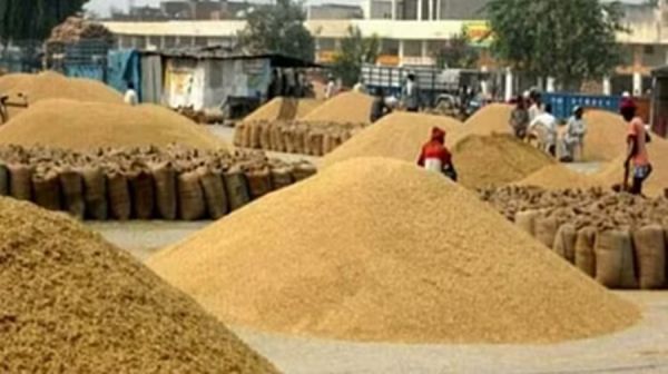 छत्तीसगढ़ के 9 राईस मिलरों पर गिरी गाज... 2 लाख क्विंटल से ज्यादा धान जप्त... एसीआई की बड़ी कार्रवाई