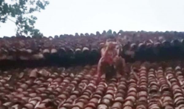 खपरैल पर चढ़ी चार साल की बच्ची.... बोली &lsquo;पईसा दे कापी पेन लुहू&rsquo;