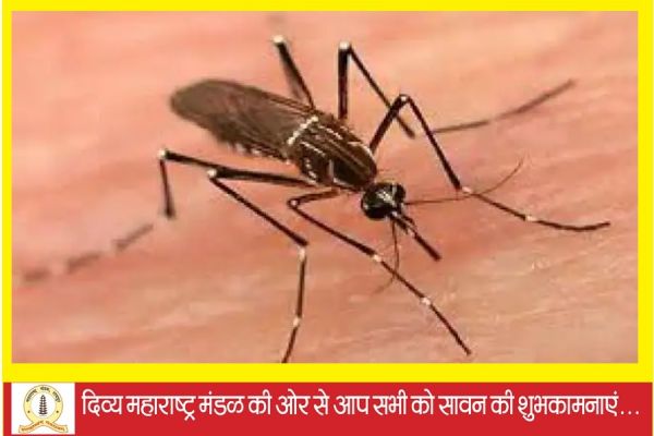  बिलासपुर में मलेरिया से युवक की मौत....  भिलाई में डेंगू का कहर जारी...