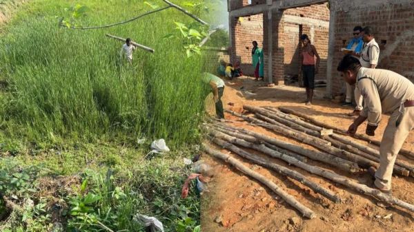 वन विभाग की बड़ी कार्रवाई, अवैध सागौन की 16 बल्लियां जब्त, आरोपी पर केस दर्ज