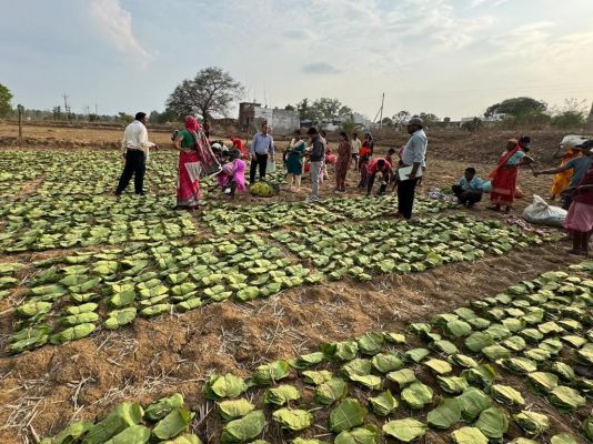 छत्तीसगढ़ राज्य लघु वनोपज संघ की छात्रवृत्ति योजना से 38 हजार से अधिक मेधावी छात्र-छात्राएं लाभान्वित