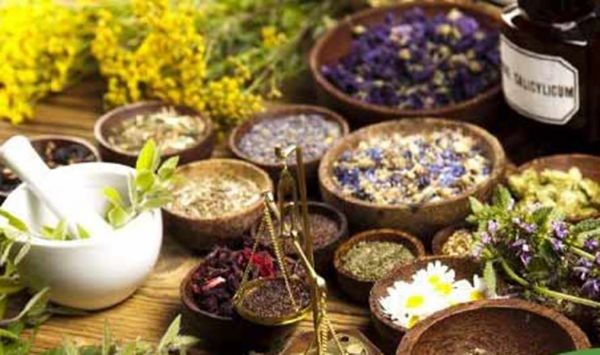 'वोकल फॉर लोकल&rsquo; को साकार करती छत्तीसगढ़ की आयुर्वेदिक प्रसंस्करण परियोजना