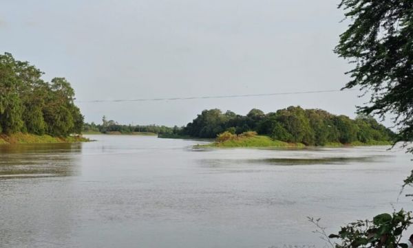 लगातार बारिश से शिवनाथ नदी उफान पर, मदकू द्वीप के एनीकेट जलमग्न, प्रशासन सतर्क&hellip;.