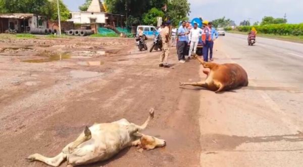 नेशनल हाईवे में देर रात दर्दनाक हादसा