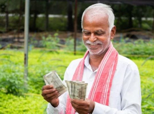 अब सीधे बैंक खाते में आएगा धान का पैसा