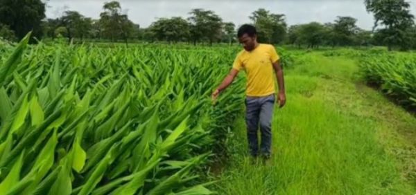 जांजगीर चांम्पा में मसालों की खेती से बढ़ी आमदनी