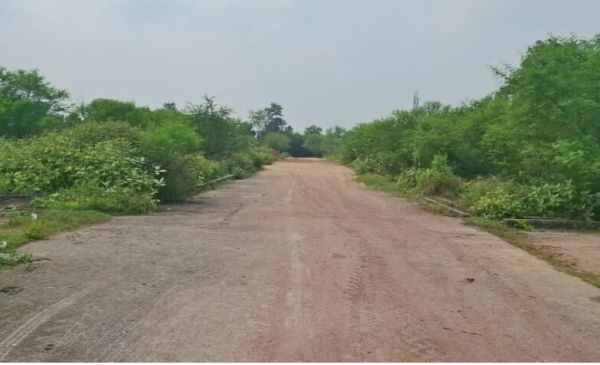 राजस्व अधिकारियों के सह पर मंगला में चल रहा अवैध प्लाटिंग&hellip;.