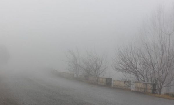 बिलासपुर में कड़ाके की ठंड, तापमान गिरा, ठंडी हवाओं और कोहरे से शहर ठिठुरा.