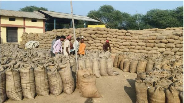 कोचियों और बिचौलियों से 9057 क्विंटल अवैध धान जब्त