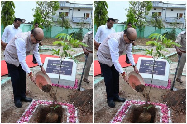 राज्यपाल रमेन डेका ने जशपुर के मातृत्व वन में किया सीता अशोक के पौधे का रोपण