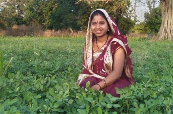 बालको की पहल से मूंगफली बनी किसानों की आय बढ़ाने का सशक्त माध्यम, &lsquo;मोर जल मोर माटी&rsquo; योजना के जरिए 40 गांवों के 9,000 से अधिक किसानों को सहयोग