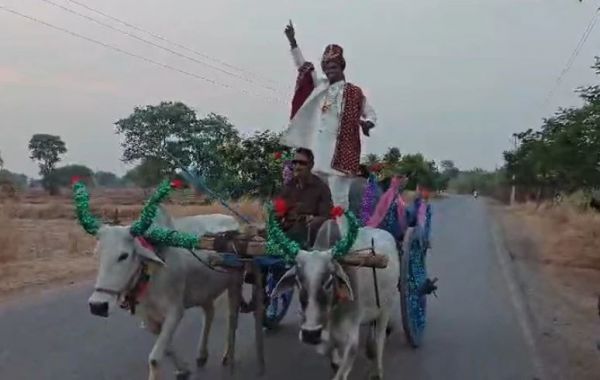 बैलगाड़ी पर बारात: डोली-घोड़ी पर नहीं, यहां बैलगाड़ी पर बैठा दुल्हा, अनोखी बारात देख लोग हुए हैरान