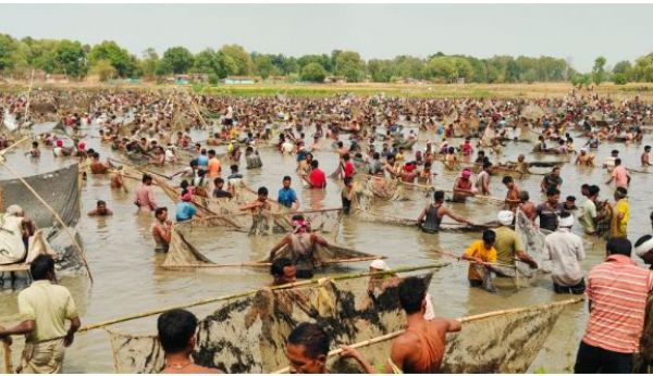  ग्राम बरकई में अनोखी परंपरा &ldquo;बंधा मतौर&rdquo; का आयोजन, तालाब में सामूहिक मछली पकड़ने उमड़े हजारों ग्रामीण