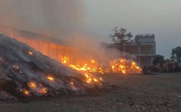 तेंदूपत्ता गोदाम में भीषण आग, करोड़ों का माल जलकर खाक